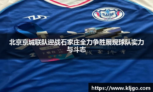 北京京城联队迎战石家庄全力争胜展现球队实力与斗志